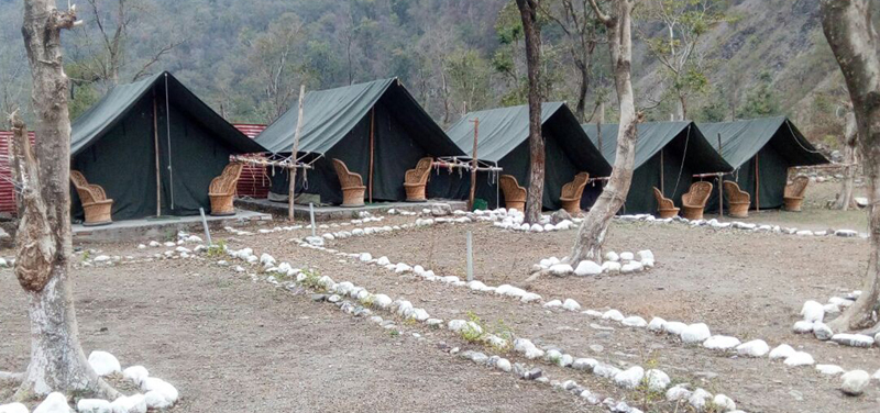 Camping in Rishikesh